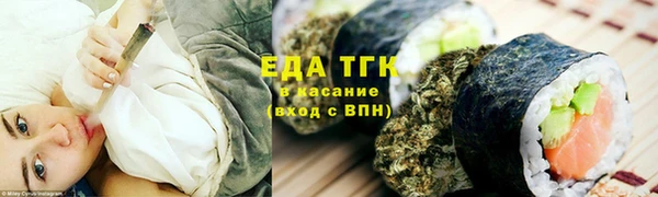 спиды Бородино