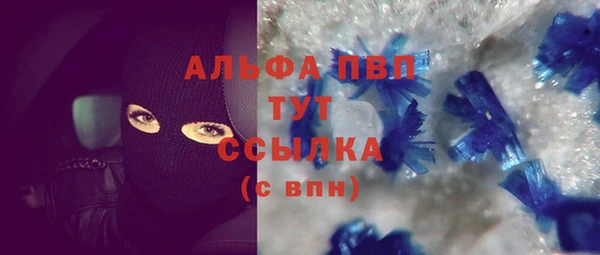 спиды Бородино
