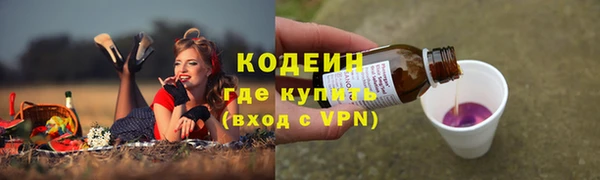 спиды Бородино