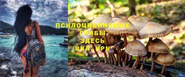 круглые Бронницы