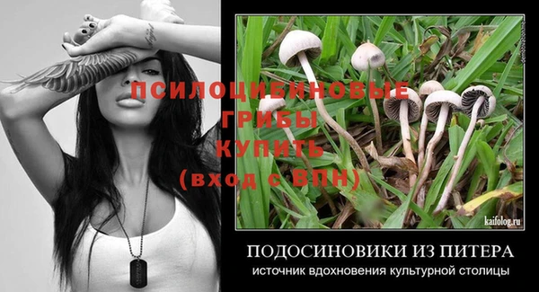 спиды Бородино