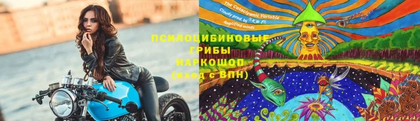 спиды Бородино